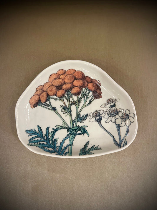 Botanical soap dish